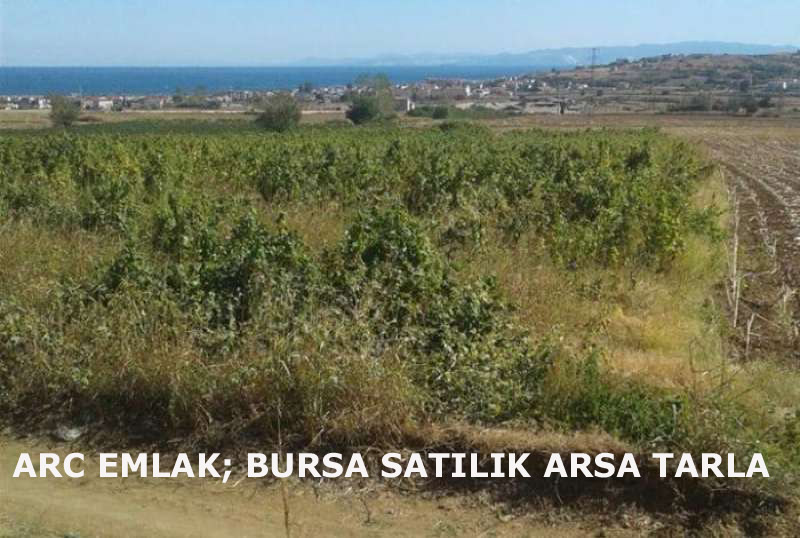 ARC EMLAK; Bursa satılık arsa, satılık tarla, sahibinden satılık arsa tarla bursa nilüfer karacabey